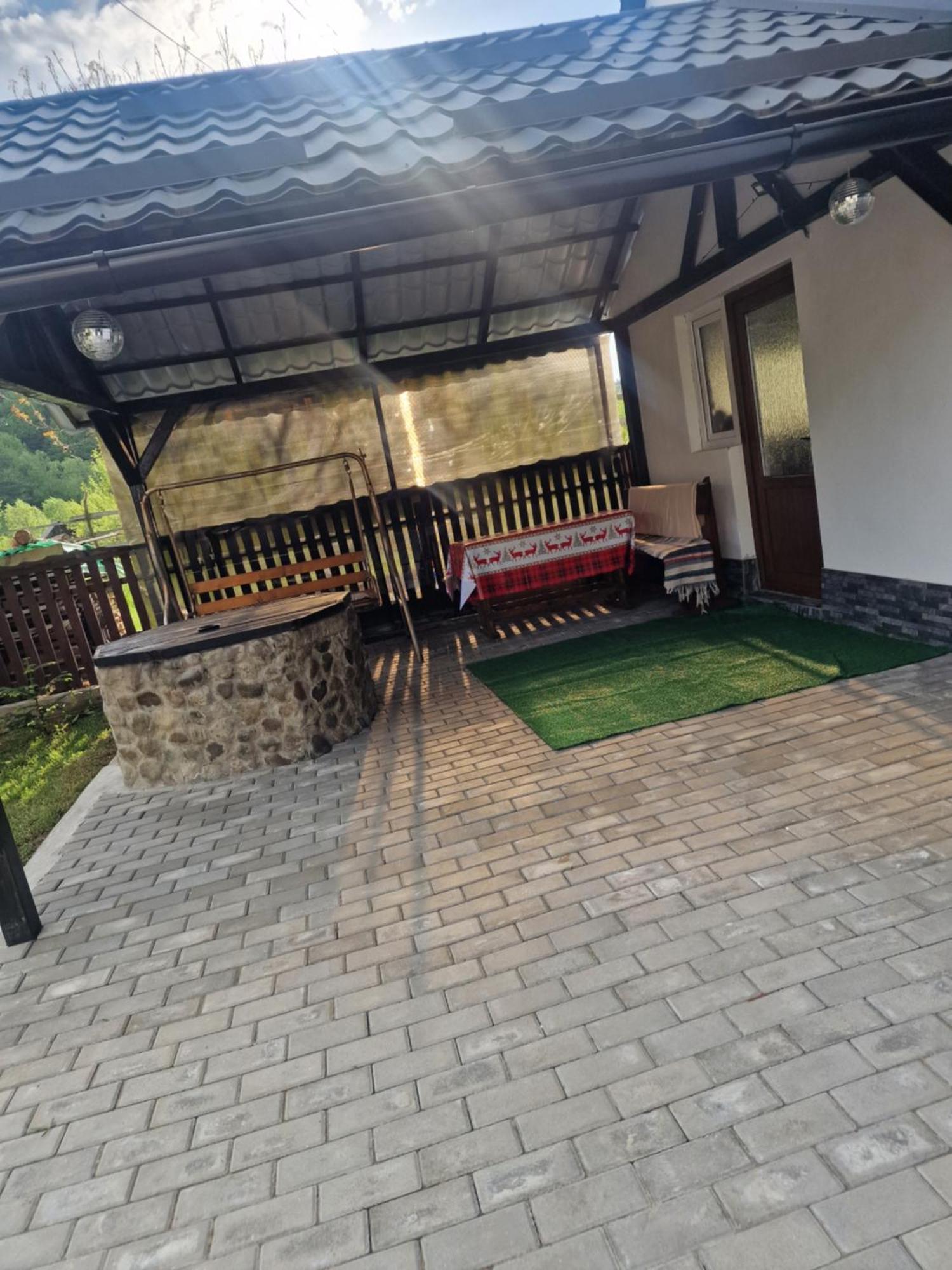 הוילה Viseu de Mijloc Casa Roxana מראה חיצוני תמונה