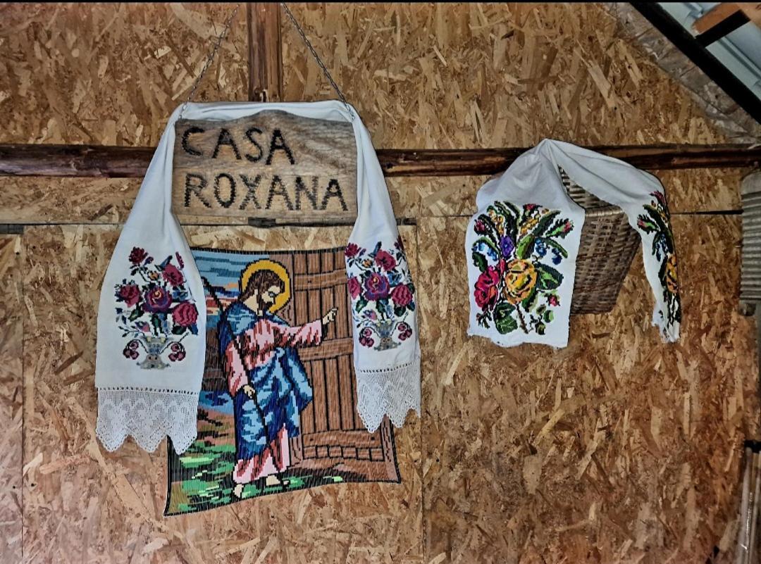 הוילה Viseu de Mijloc Casa Roxana מראה חיצוני תמונה