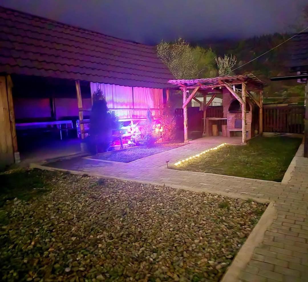 הוילה Viseu de Mijloc Casa Roxana מראה חיצוני תמונה